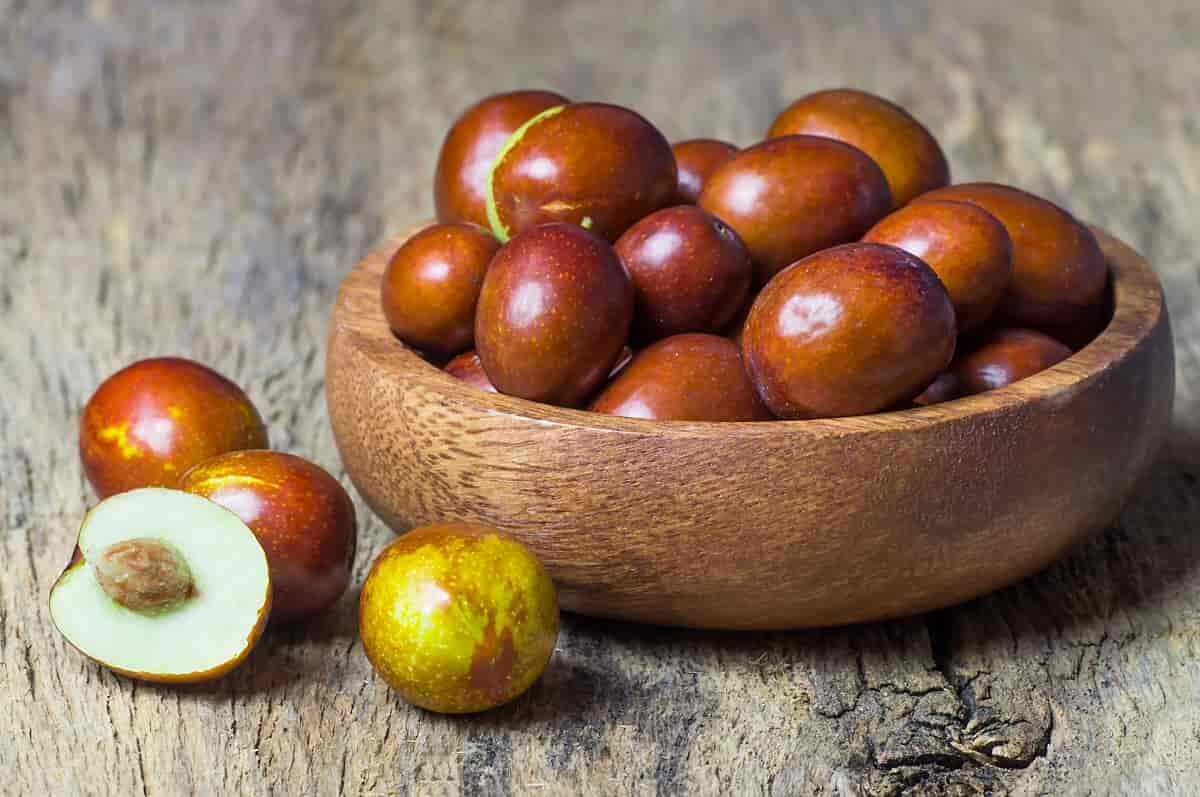 Öyle bir faydası çıktı ki... Bu şeyin bir kaşığının bile yararı saymakla bitmiyor 2