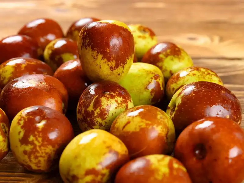 Öyle bir faydası çıktı ki... Bu şeyin bir kaşığının bile yararı saymakla bitmiyor 3