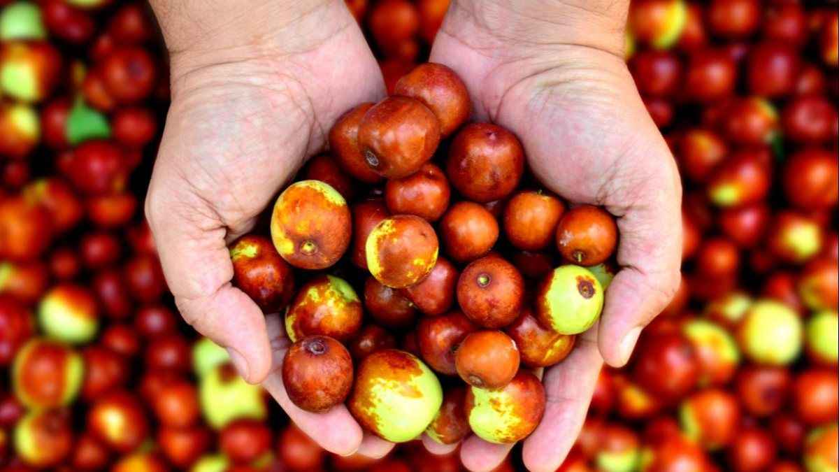 Öyle bir faydası çıktı ki... Bu şeyin bir kaşığının bile yararı saymakla bitmiyor 9