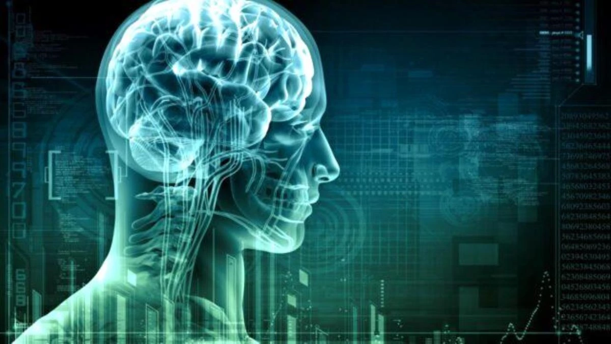 Türkiye’nin en zeki şehirleri açıklandı! Listede kendi ilinin sırasını gören şoke oldu 6