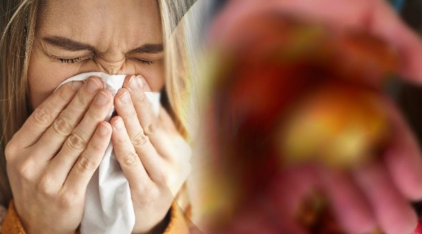 Öyle bir faydası çıktı ki... Bu şeyin bir kaşığının bile yararı saymakla bitmiyor 1