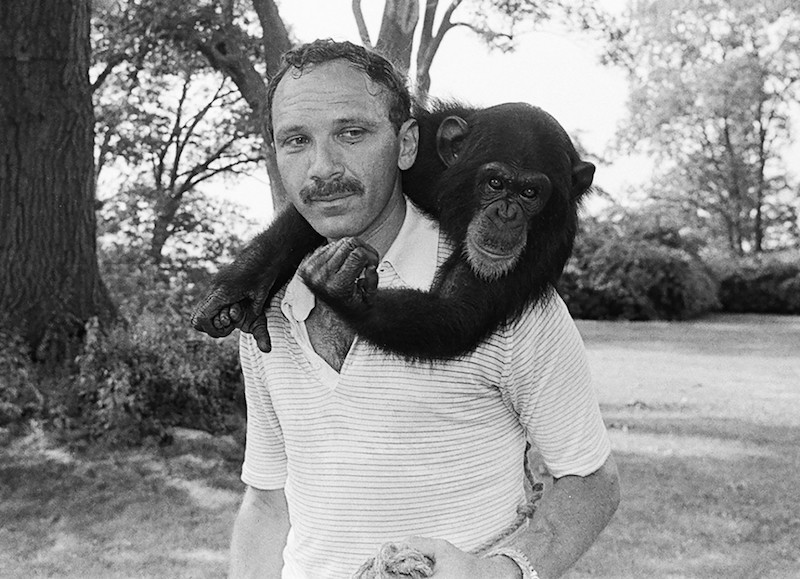 9 ay şempanzeyle kardeşi gibi yaşadı! İkisinin de sonu çok acı oldu! Bu kadar da olmaz 14