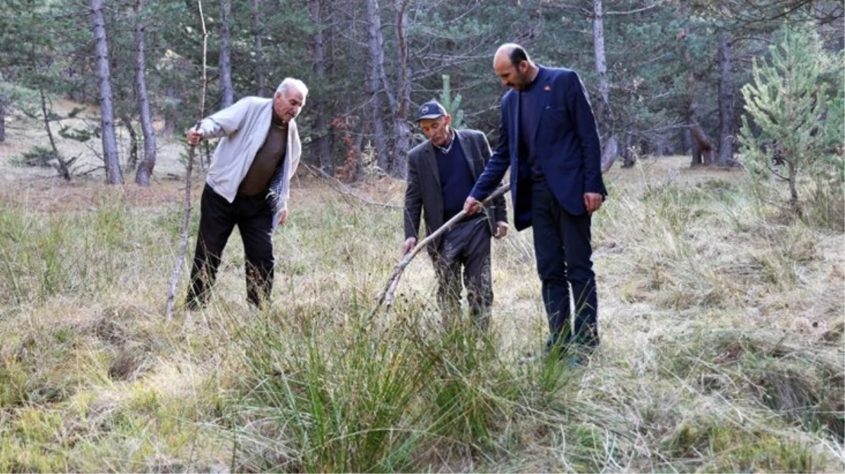 Sivas'ta petrol heyecanı! Nereyi kazsan fışkıran esrarengiz sıvı köylüleri umutlandırdı 4