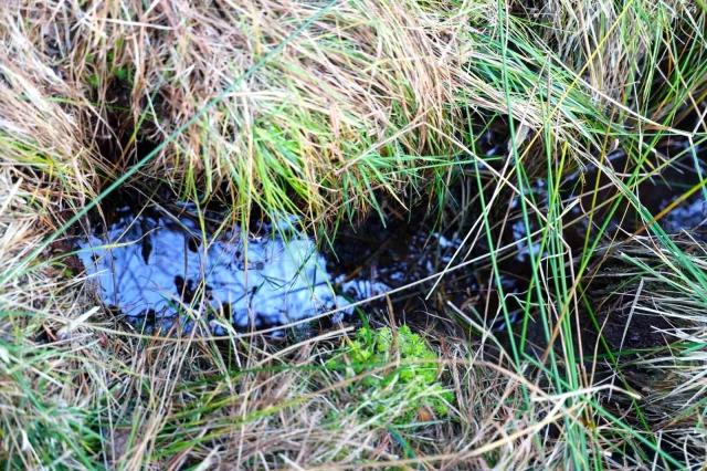 Sivas'ta petrol heyecanı! Nereyi kazsan fışkıran esrarengiz sıvı köylüleri umutlandırdı 2