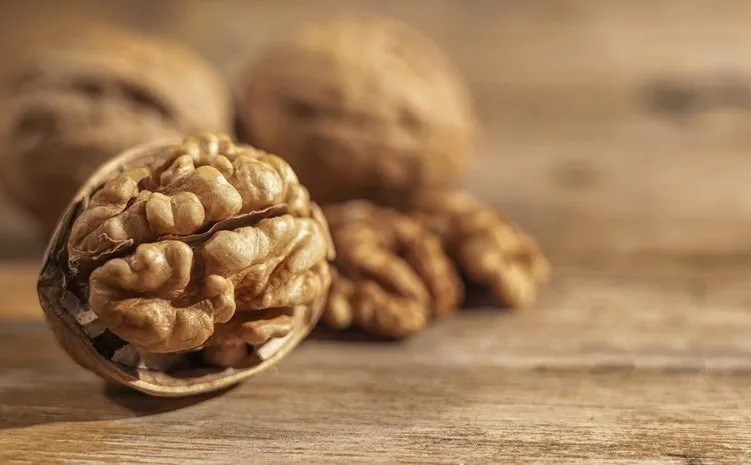 Canan Karatay anlattı: Her öğünde tüketin! Dünyanın en faydalı besini... 26