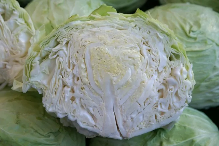 Tıp dünyası bu meyveyi konuşuyor! Öyle faydalı ki antibiyotiklerle yarışıyor... 16