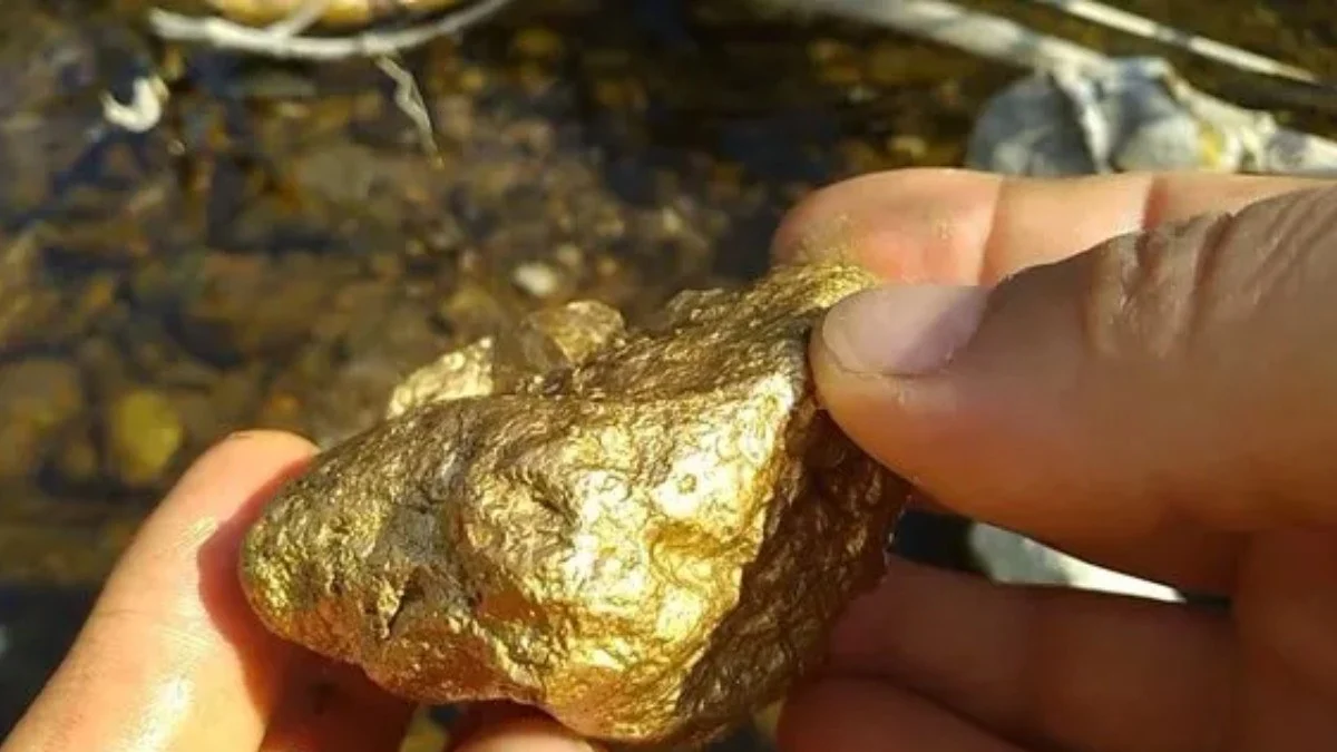 658c388314bb6674__w1200xh675