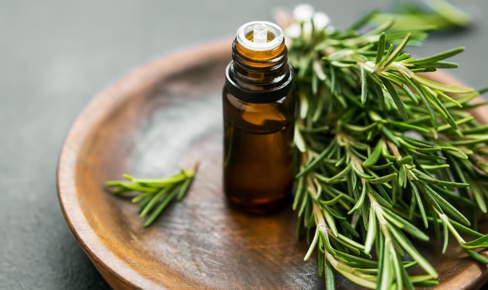 İbn-i Sina’nın önerdiği mucize baharat! Bir tutamı beyni zehir gibi yapıyor 17