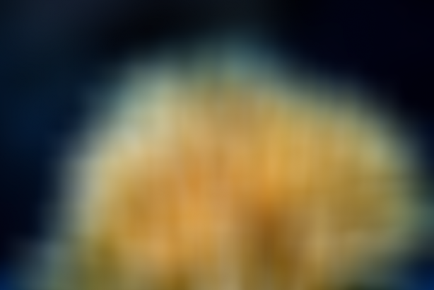 Denizde bulundu! Kur'an'da adı geçiyor... Bilim adamları araştırınca şaşkına döndü 1