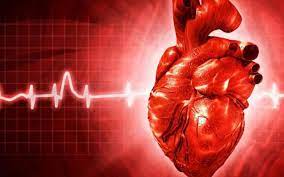 Kalp krizine müdahalede "altın zaman"! Kanserden 2 kat fazla görülüyor... 2