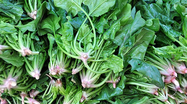 Bu besinleri tüketenler yorulmak nedir bilmiyor! Günde bir defa yeseniz bile... 3