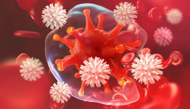 Kanserden kan şekerine... Şifa deposu bu yiyeceğin faydası saymakla bitmiyor 6