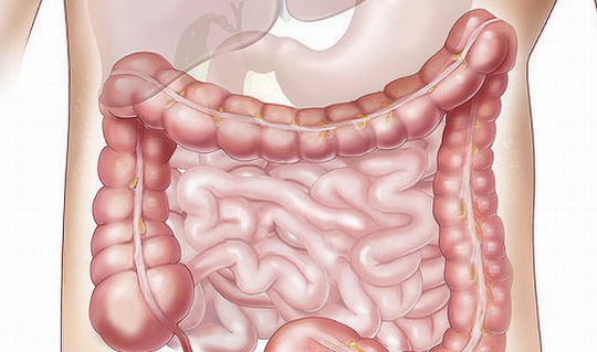 Karaciğeri 18 yaşına döndürüp, önemli değişiklik yapan işte yeni liste: Hasarının önüne geçiyor 3