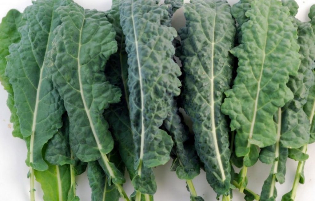 Türkiye'nin en kötü yemeği seçilmişti ama öyle bir faydası var ki... Bir tas içen doktor yolunu unutacak 11