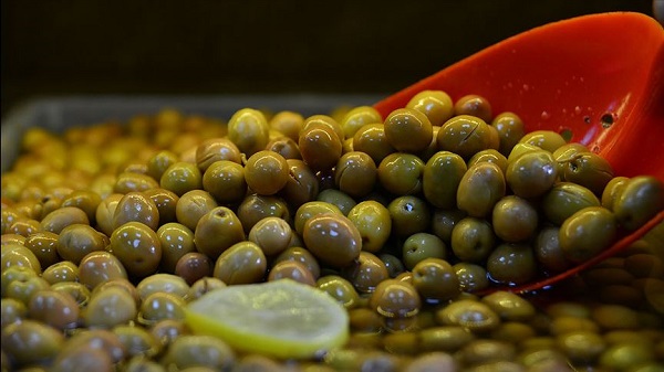 Tehlike büyük! Canan Karatay'dan zeytin uyarısı... Bu şekilde sakın tüketmeyin! 3