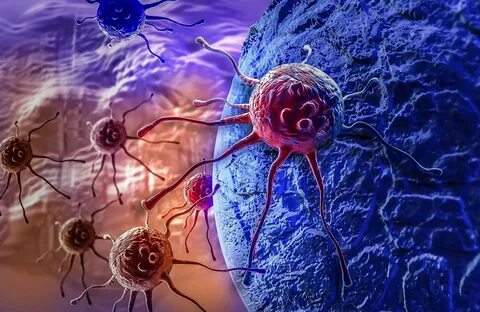 Uzmanlar açıkladı! 6 besin kanseri önlemede çok etkili 1