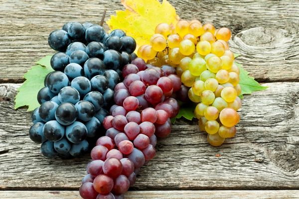 İçi zehir dolmuş karaciğeri tek seferde temizliyor! Bu besin doğal serum görevi görüyor 12