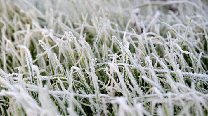 21Bdadcf Gbexddu2Yw62Imoq31785F