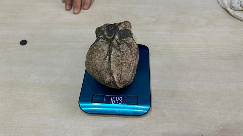 aw11436907-0701202422e26dec