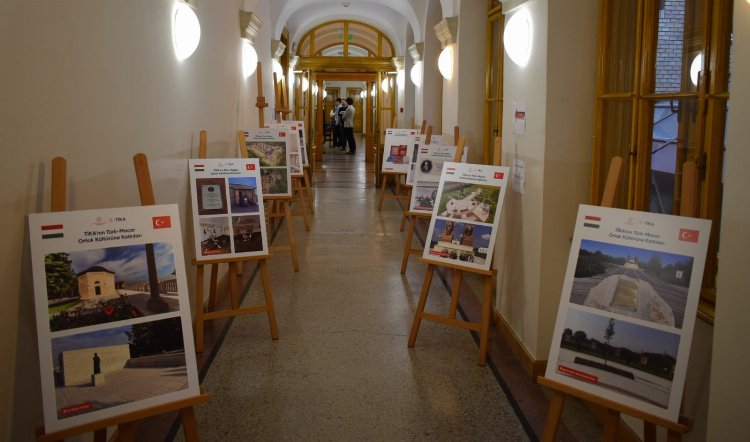 6360E437 8C64 4Da2 Ba90 8Ca8E21E82Dc 1709983312 335