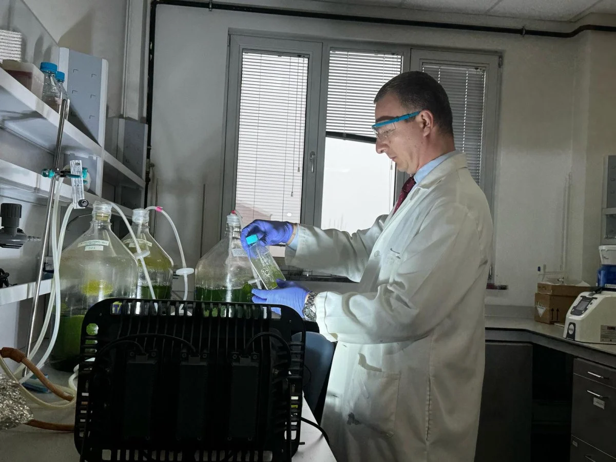 65E5Cb772C6E1616 W1200Xh900