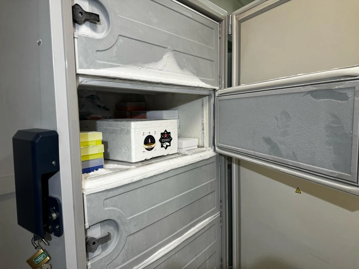 65E5Cb86Cb77B775 W1200Xh900