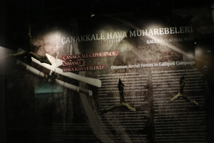 Aa Picture 20240318 34023372