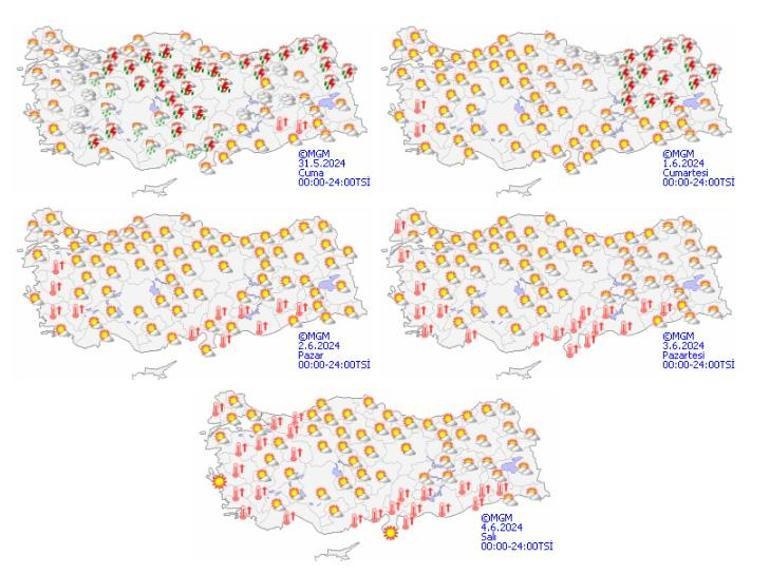 66596D42607Ac75Ddda5D6B2