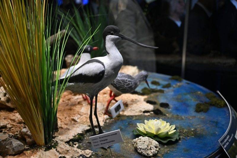 Batch A A 20240524 34671034 34671