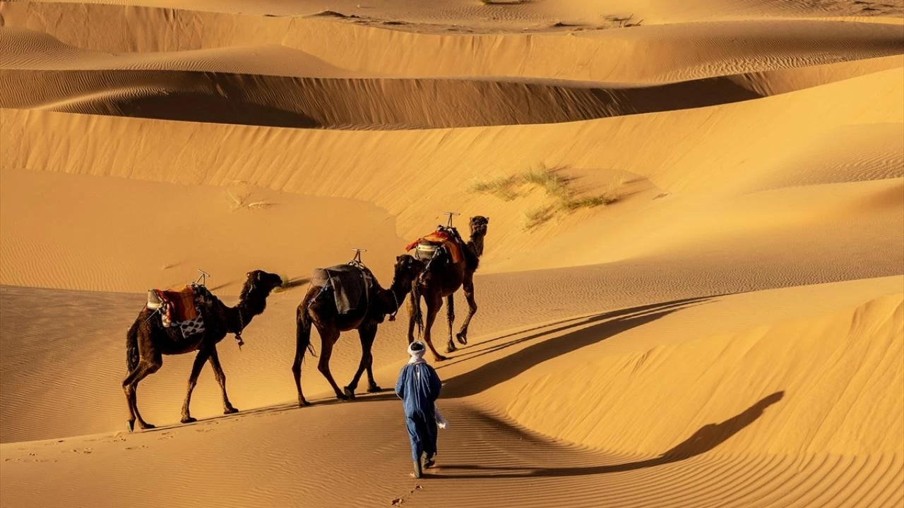 Tarihe geçecek görüntüler! Dünyanın en kurak yeri Sahra Çölü sular altında 1
