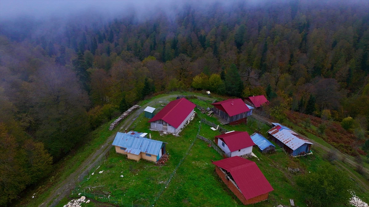 Yedigöller sonbaharın güzelliğini gözler önüne seriyor! 4