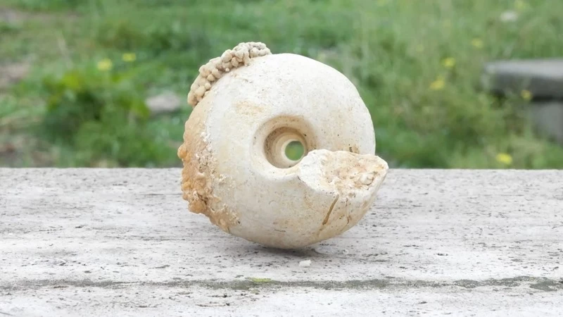 İstanbul'un orta yerinde deniz minaresi fosili bulundu! Uzmanlardan deprem uyarısı 5