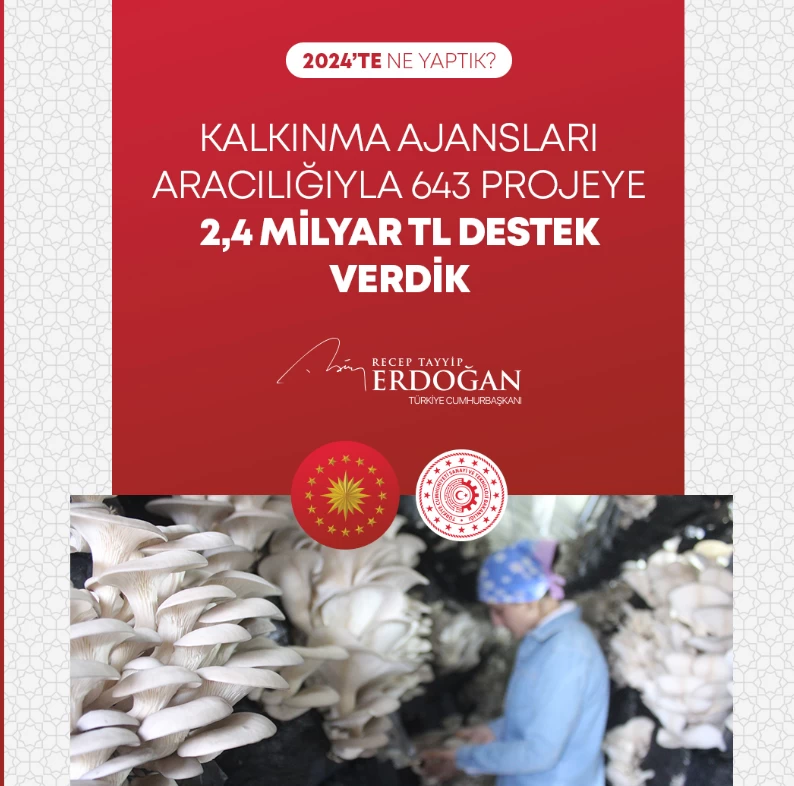 Erdoğan'dan 2024 değerlendirmesi: Yapılanları tek tek sıraladı 13