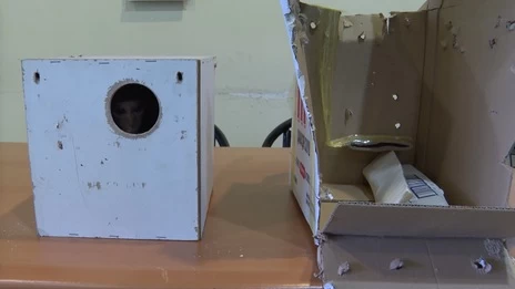 Şaşkınlığı ile gündem olmuştu! 'Minik' yeni yuvasında 2