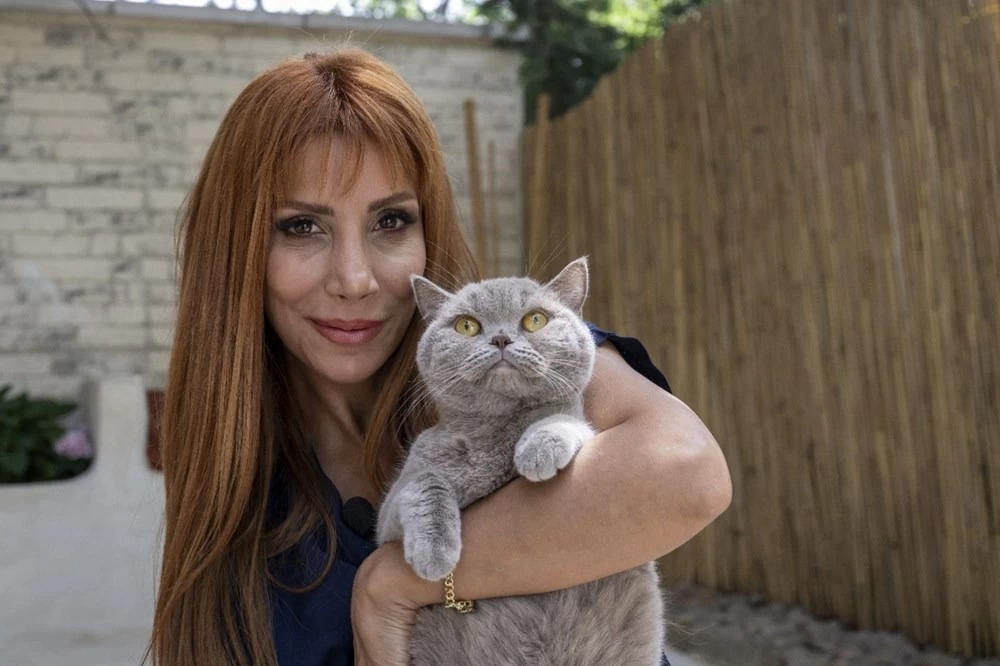 Obez kedi Şiraz'ın muhteşem değişimi: Pilates ve yüzmeyle 6 kilo verdi 7