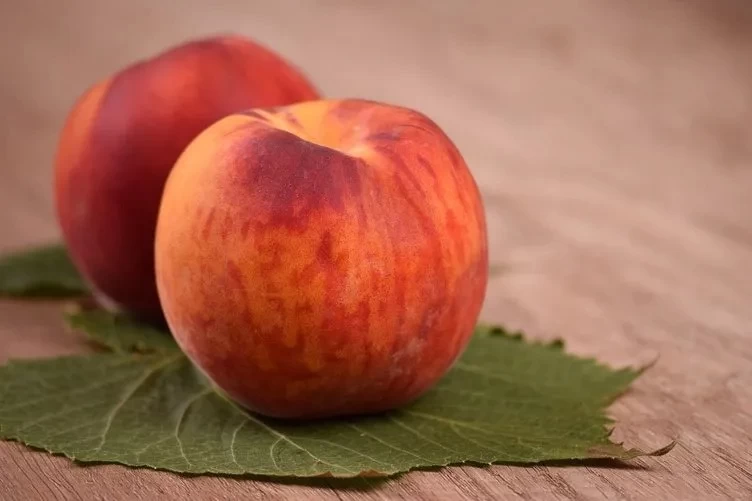 Bağışıklığı çeliğe dönüştüren yaz meyvesi! Bağırsakları temizliyor, ağız kokusunu gideriyor... 10