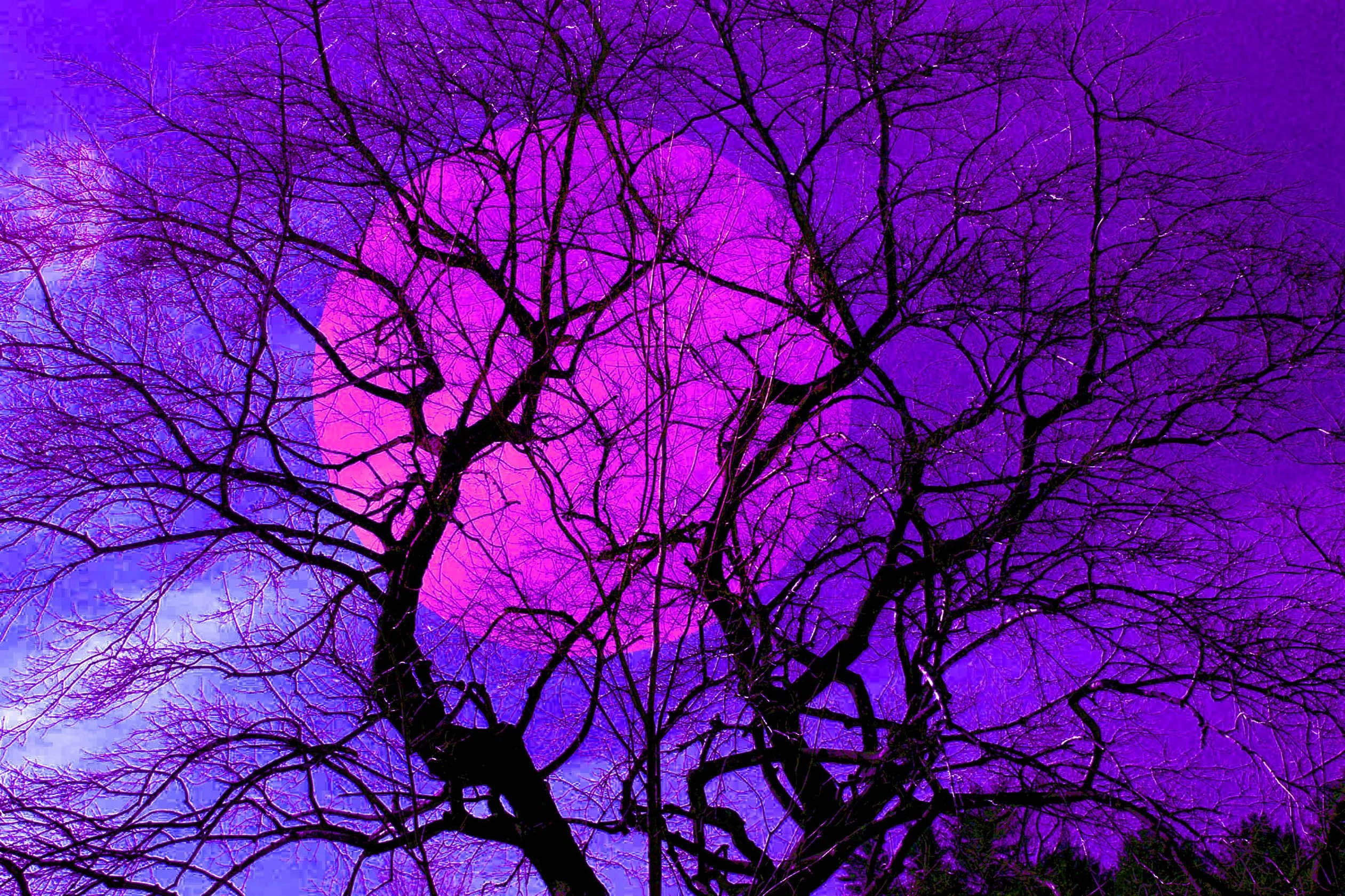 Hangi aura rengi neyi temsil ediyor? İşte aura renkleri ve anlamları 7