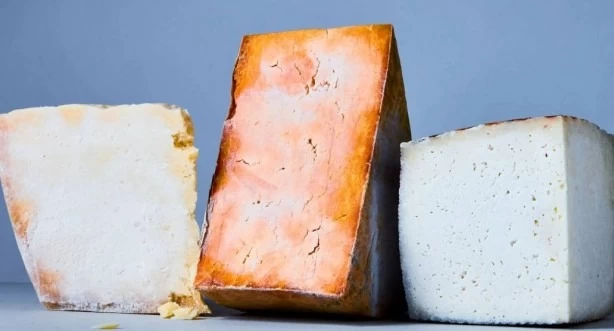 Sabah kahvaltıların vazgeçilmezi! İşte peynir hakkında bilmeniz gereken 25 gerçek 21