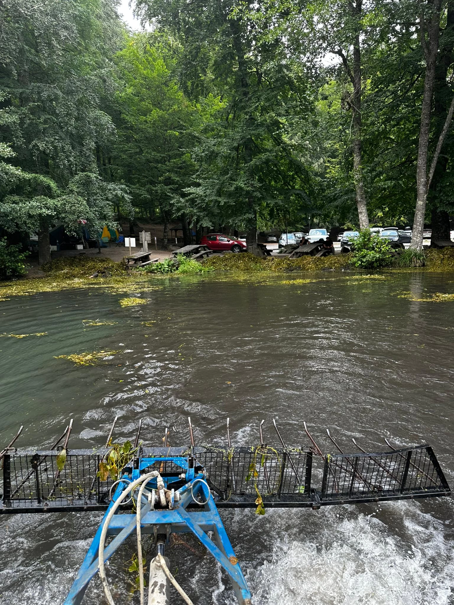 Yedigöller Milli Parkı'ndaki 2 göl temizlendi 1