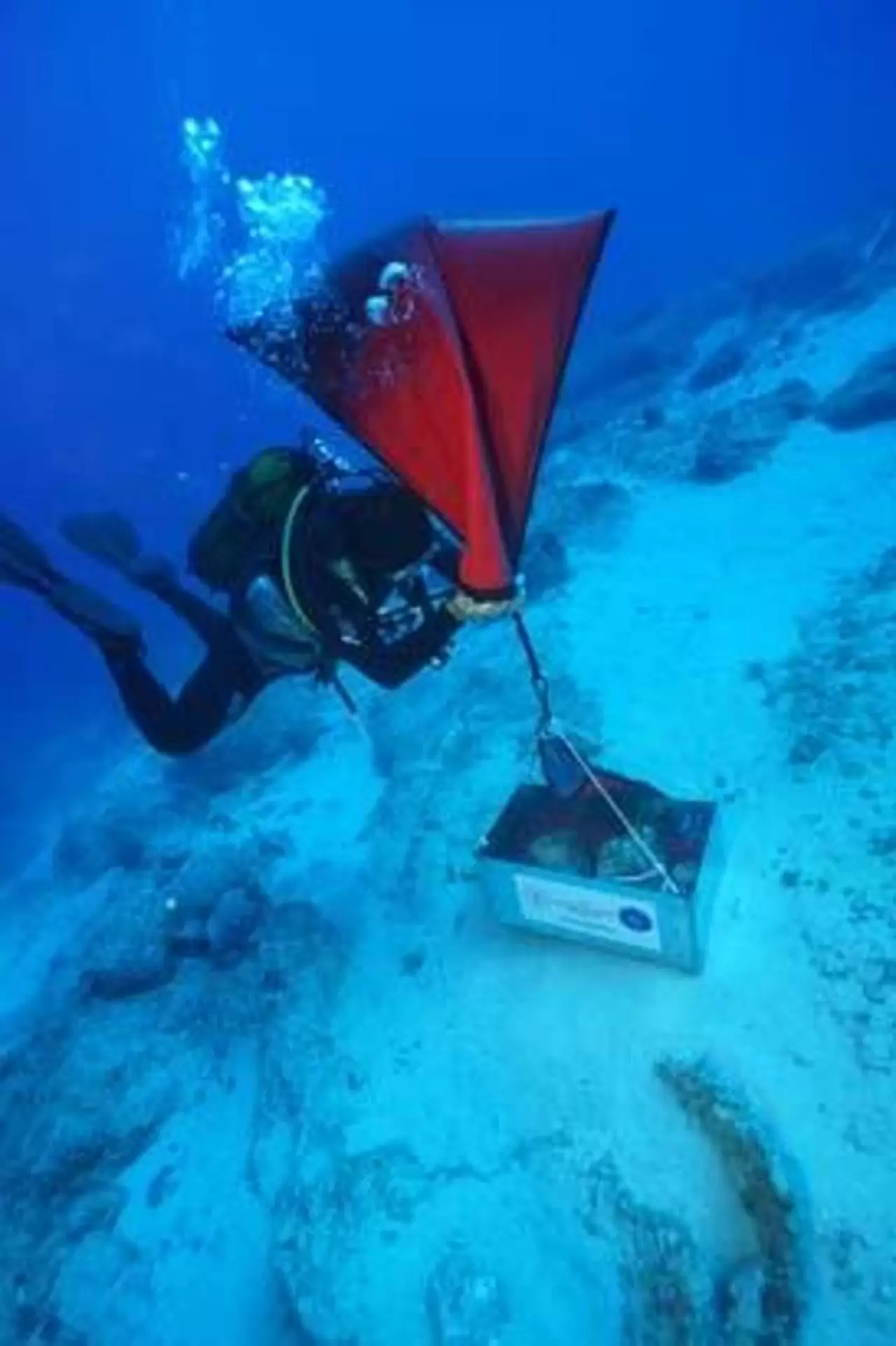 'Ezber bozan' keşif! Türkiye'de ortaya çıktı... 5