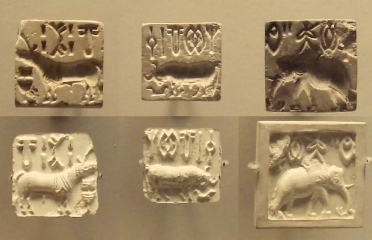 1 milyon dolarlık şifre: Antik İndus yazısı çözülebilecek mi? 11
