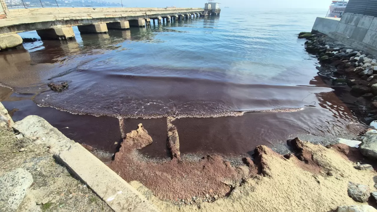 Tekirdağ'da kıyılar kızıl yosunlarla kaplandı 2