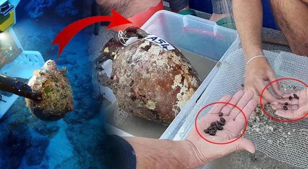 'Ezber bozan' keşif! Türkiye'de ortaya çıktı... 1