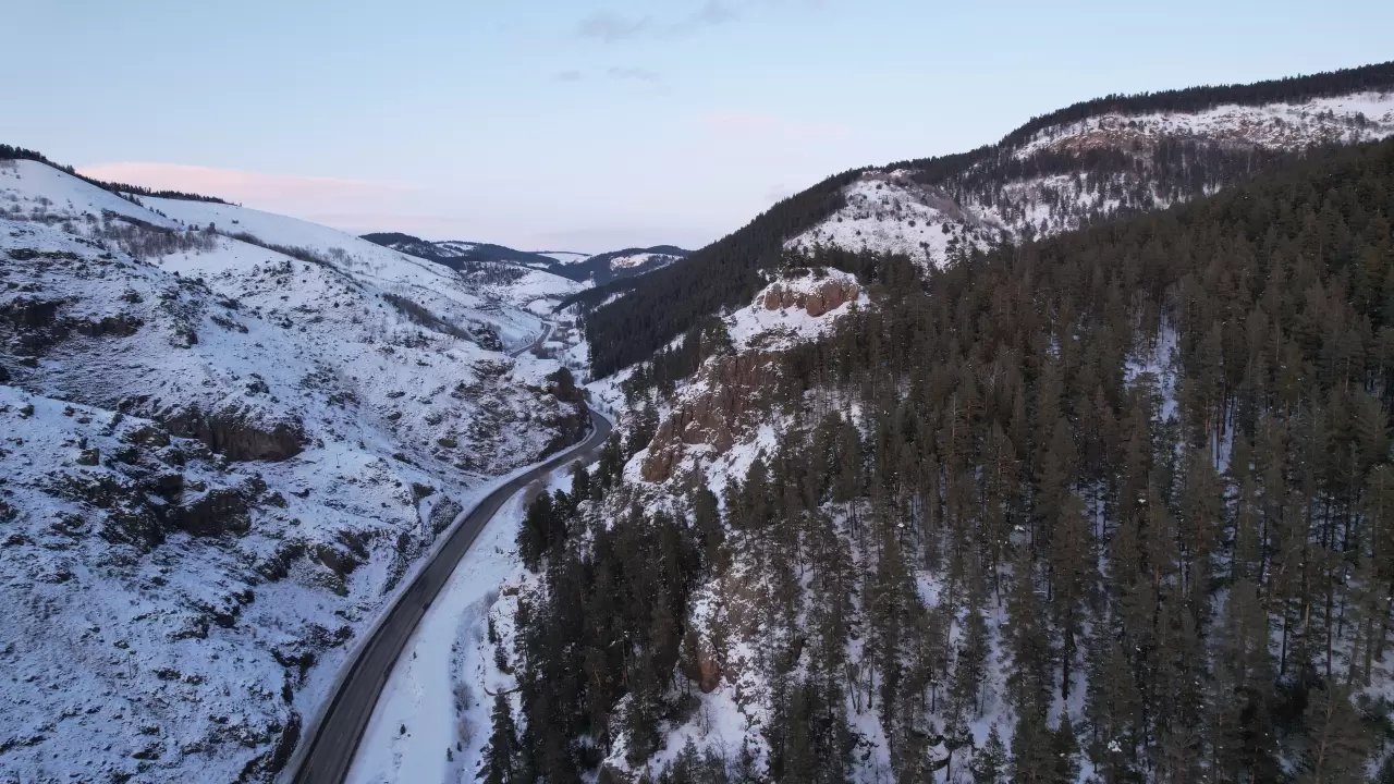 Erzurum Şenkaya'da kış güzelliği yaşandı, sarıçam ormanları beyaza büründü 4