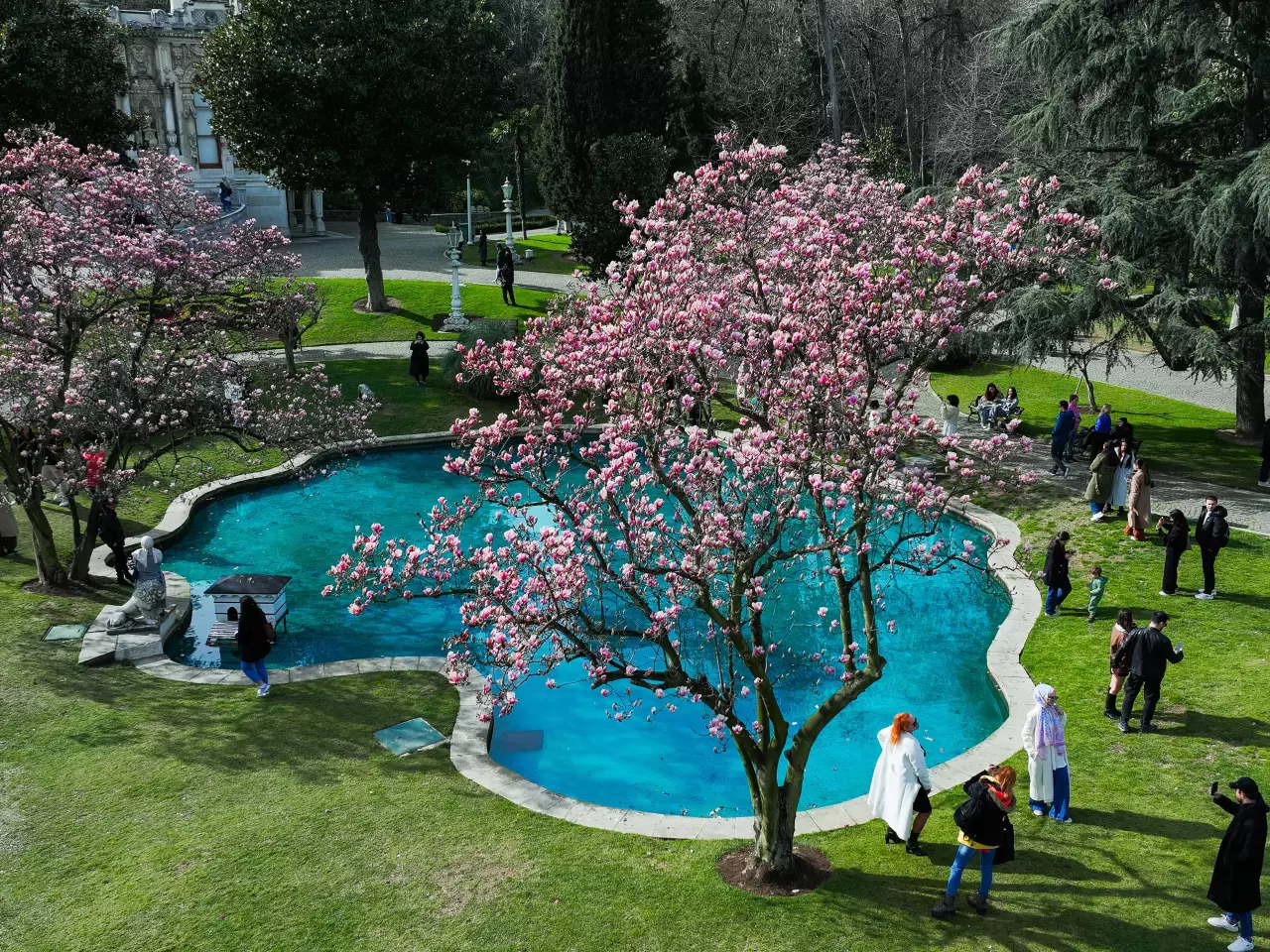 İstanbul’un saklı cenneti, Ihlamur Kasırları’nda manolyalar açtı 1