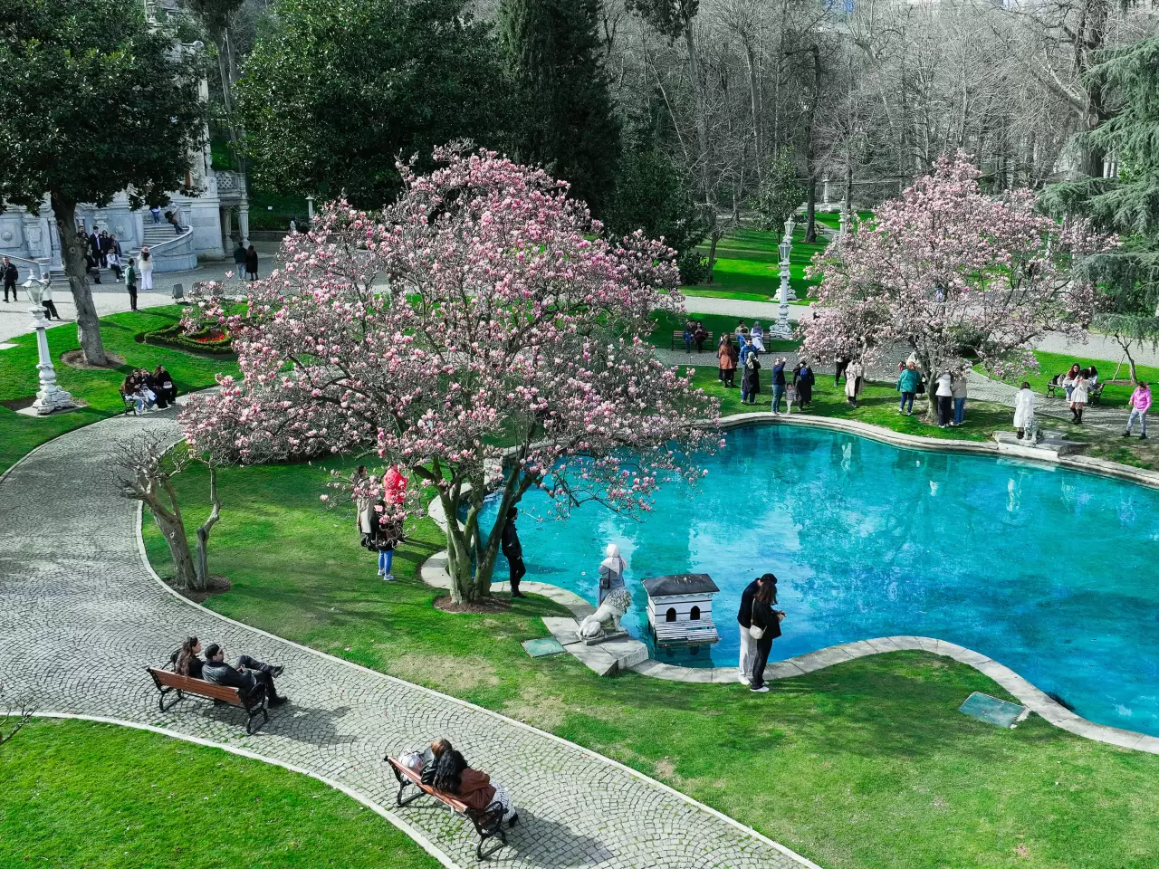 İstanbul’un saklı cenneti, Ihlamur Kasırları’nda manolyalar açtı 3