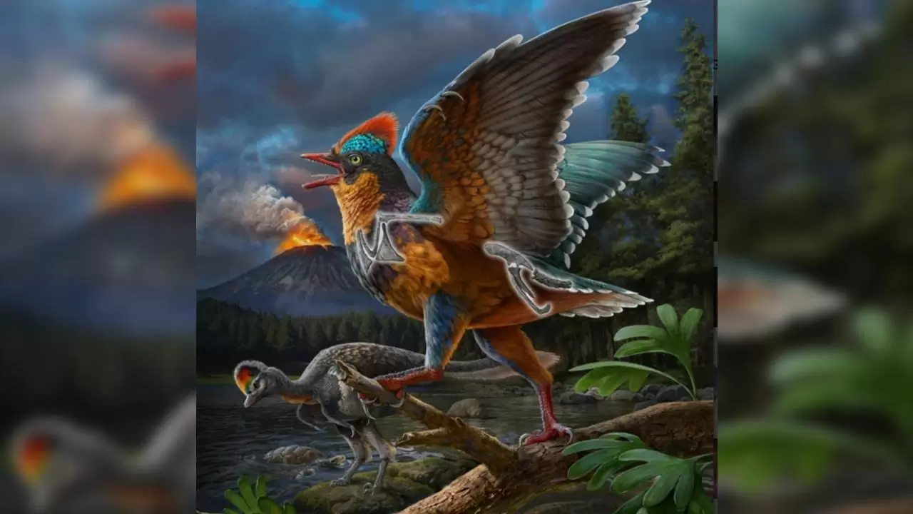 Bilim insanları şimdiye kadarki en eski kuşlardan birini ortaya çıkardı 1