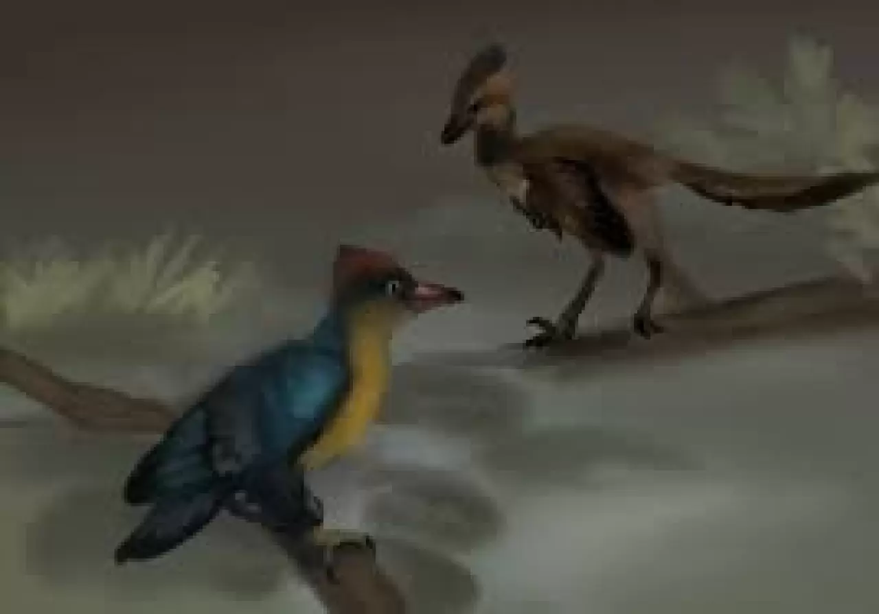 Bilim insanları şimdiye kadarki en eski kuşlardan birini ortaya çıkardı 6