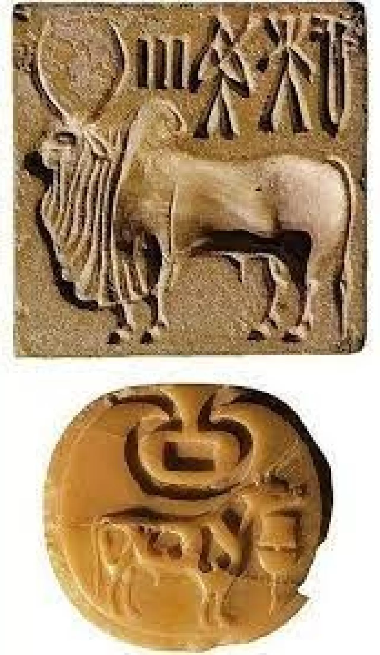 1 milyon dolarlık şifre: Antik İndus yazısı çözülebilecek mi? 6