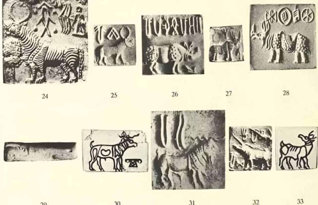 1 milyon dolarlık şifre: Antik İndus yazısı çözülebilecek mi? 10